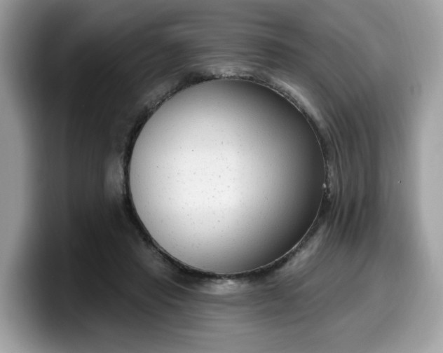 X0000099580453200805301602