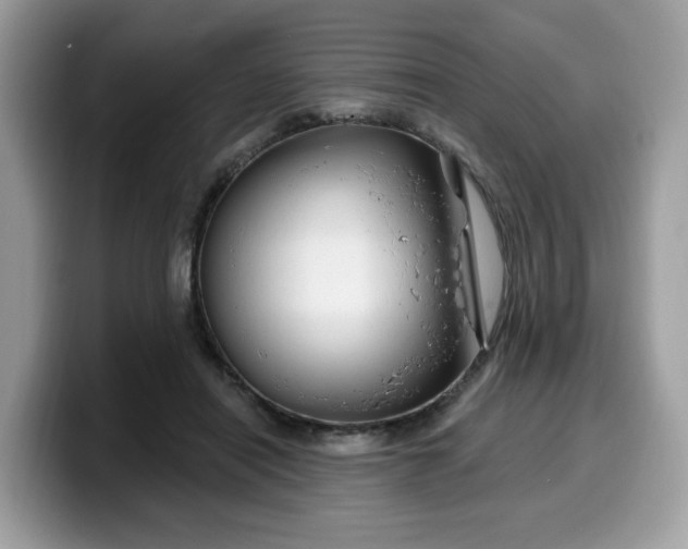 X0000099580454200805301602