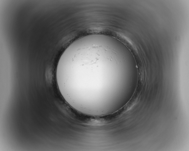 X0000099580455200805301602