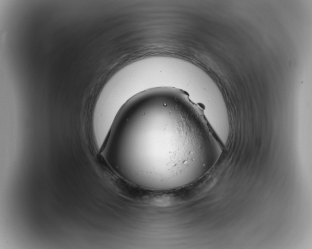 X0000099580456200805301602