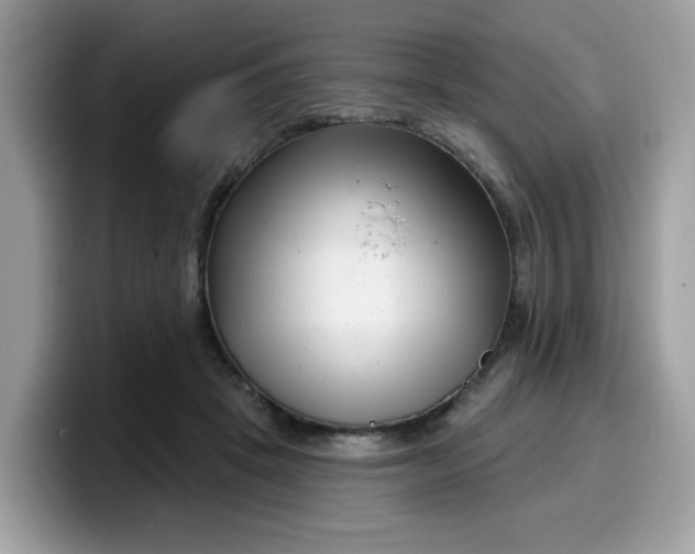 X0000099580457200805301602