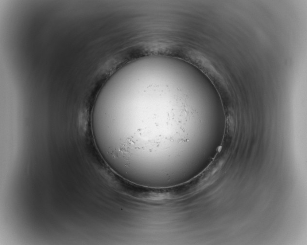 X0000099580458200805301602