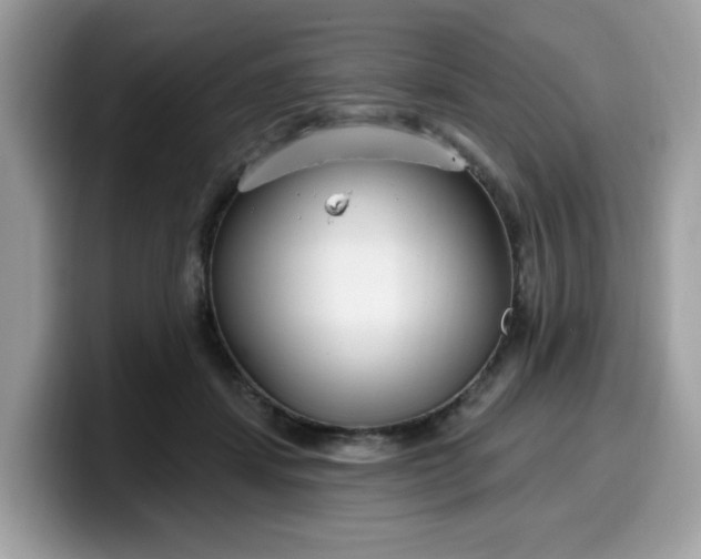 X0000099580459200805301602