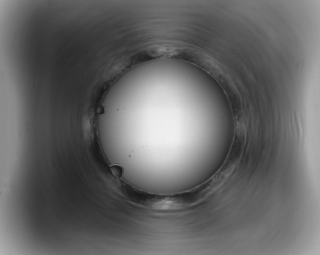 X0000099580460200805301602