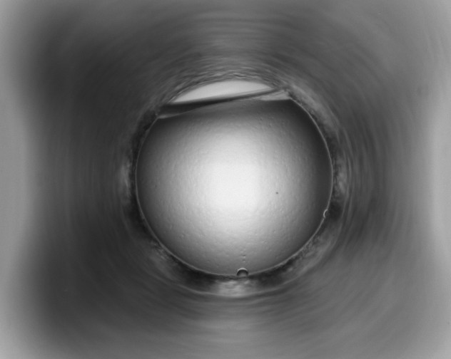 X0000099580461200805301602