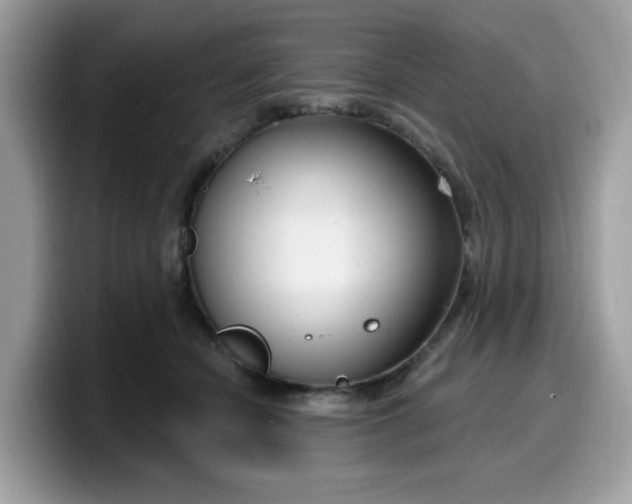 X0000099580462200805301602