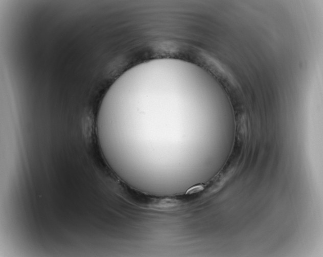 X0000099580463200805301602