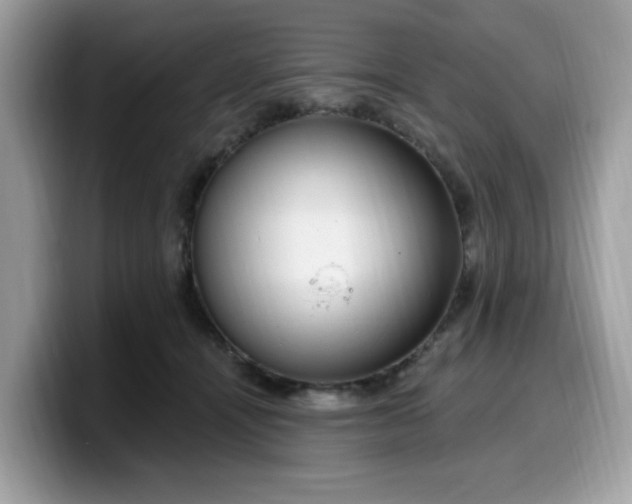 X0000099580464200805301603