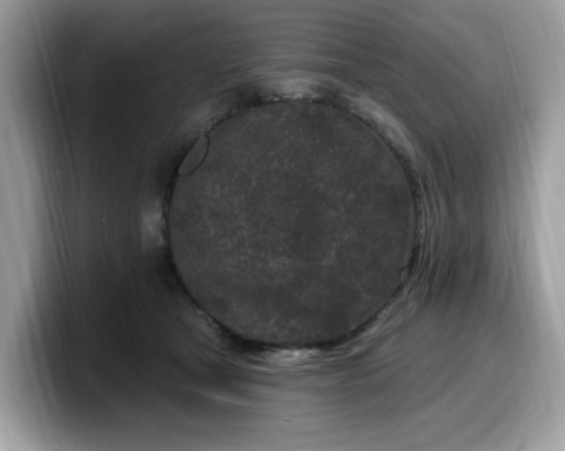 X0000099580465200805301603