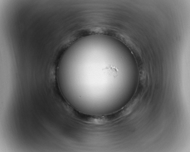 X0000099580466200805301603