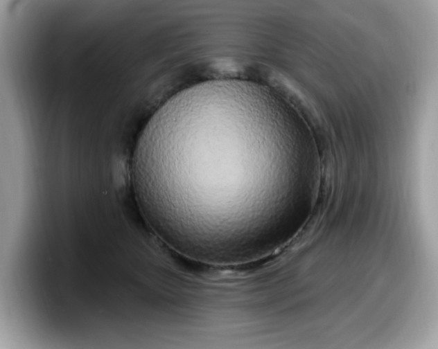 X0000099580467200805301603