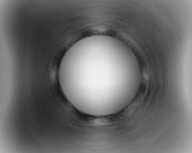 X0000099580468200805301603