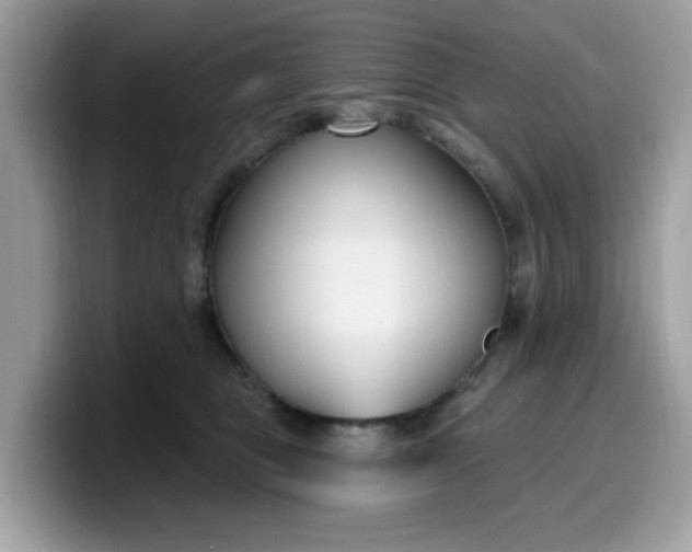 X0000099580469200805301603