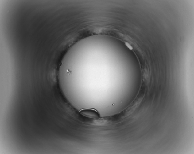 X0000099580470200805301603