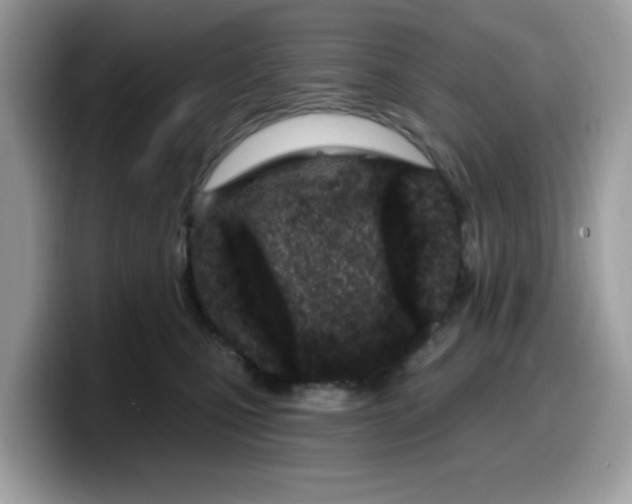 X0000099580471200805301603