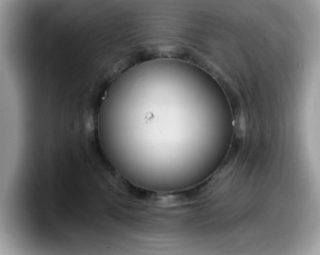 X0000099580472200805301603