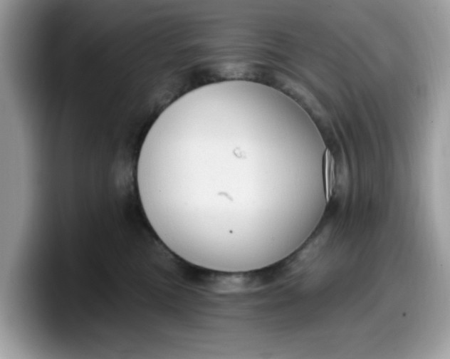 X0000099580473200805301603