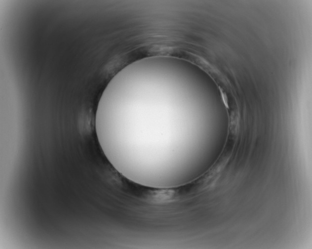 X0000099580474200805301603