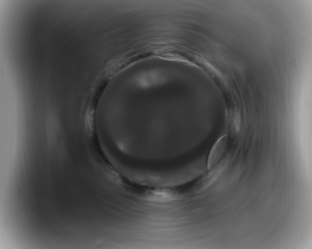 X0000099580475200805301603