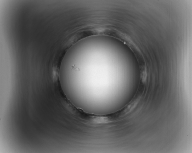 X0000099580476200805301603