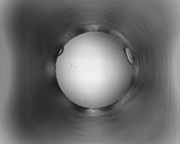 X0000099580477200805301603