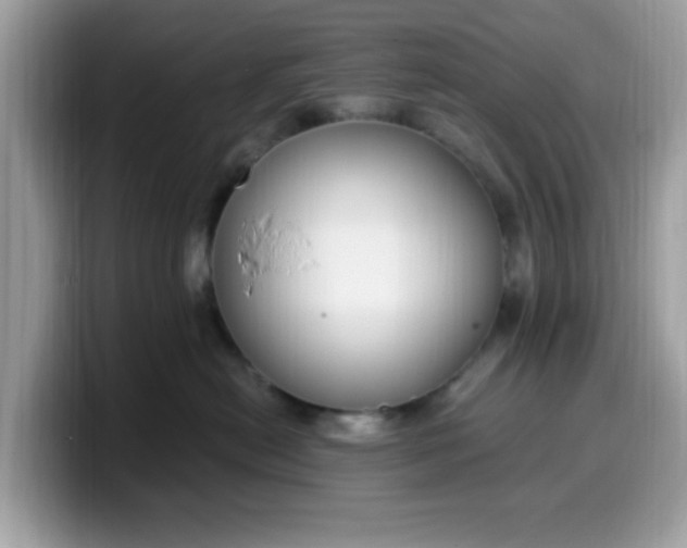 X0000099580478200805301603