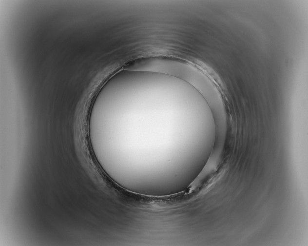 X0000099580481200805301602