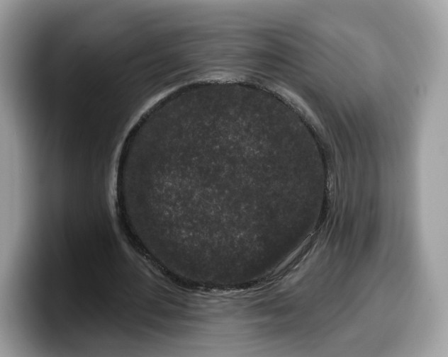 X0000099580484200805301602