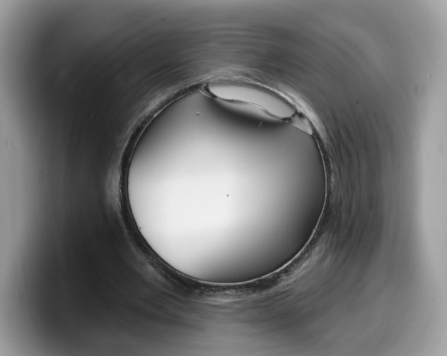 X0000099580485200805301602