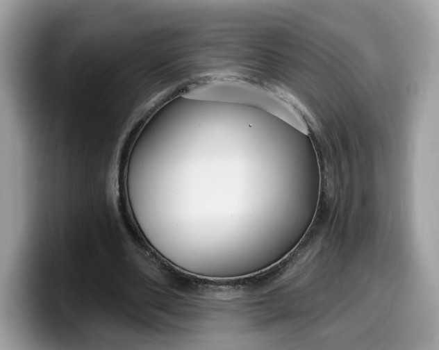 X0000099580486200805301602