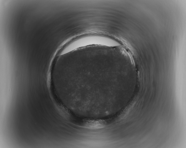 X0000099580488200805301602