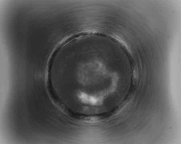 X0000099580492200805301602