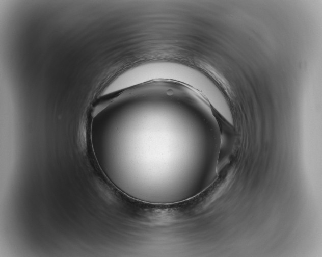 X0000099580493200805301602