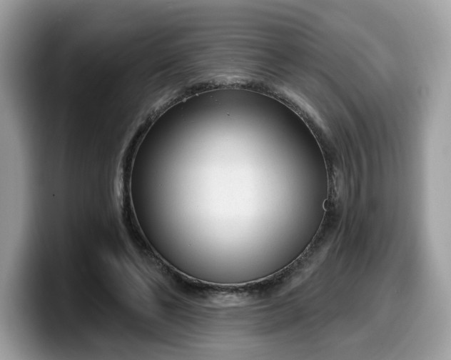 X0000099580494200805301602