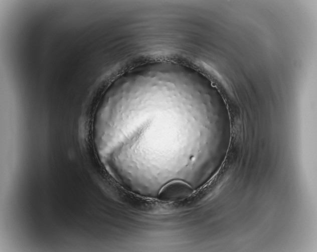 X0000099580495200805301602