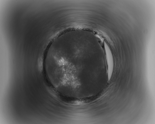 X0000099580496200805301602