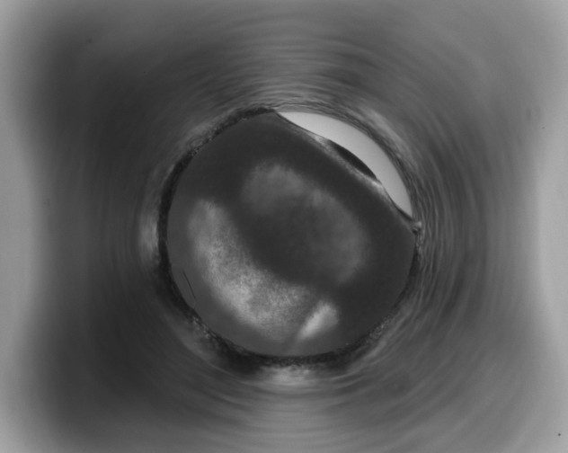 X0000099580500200805301602