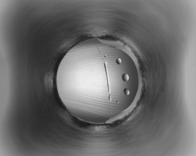 X0000099580501200805301602