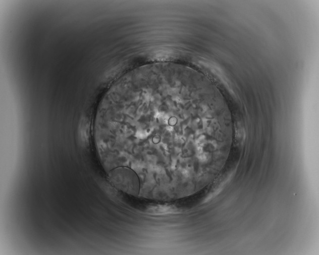 X0000099580503200805301602