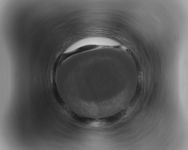 X0000099580504200805301602