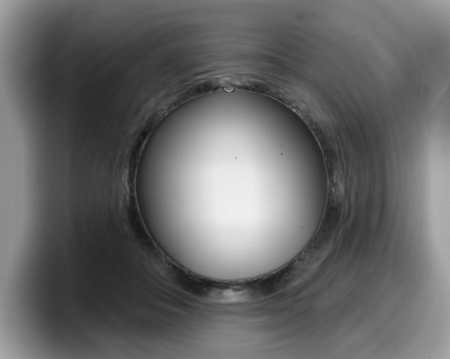 X0000099580506200805301602