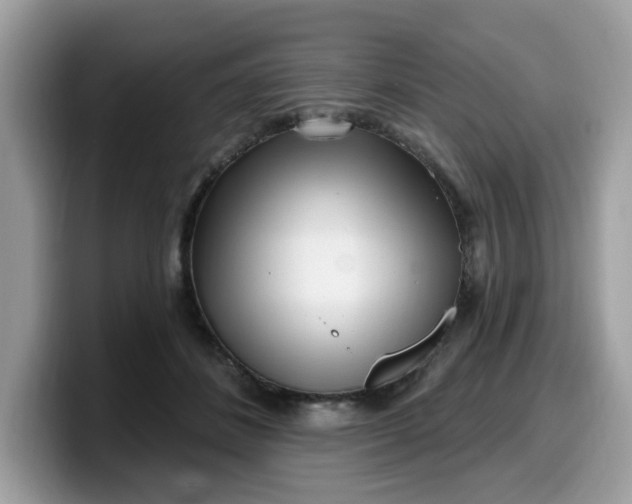 X0000099580508200805301602