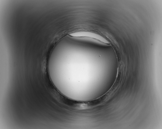 X0000099580509200805301602