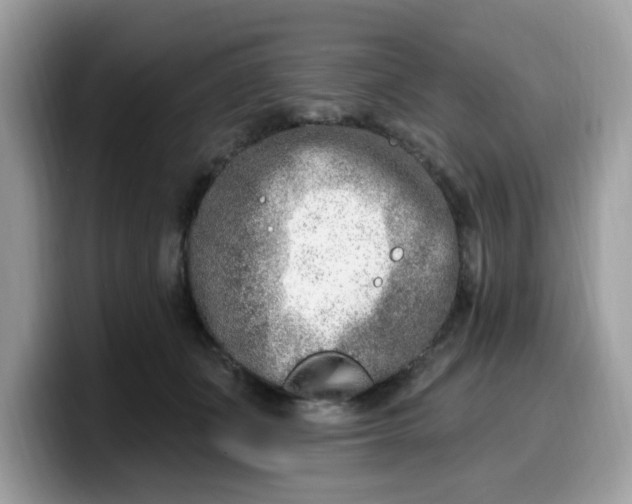 X0000099580511200805301602