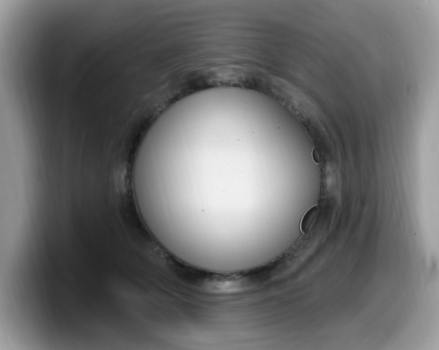 X0000099580514200805301602