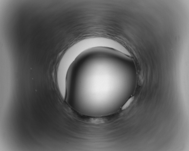 X0000099580520200805301602