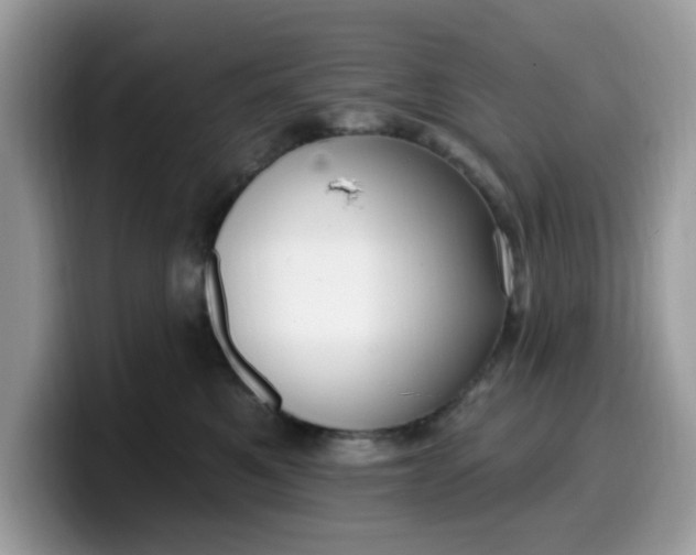 X0000099580521200805301602