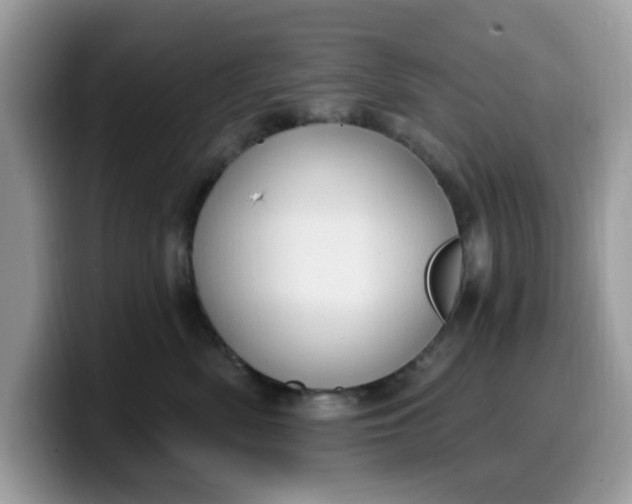 X0000099580522200805301602