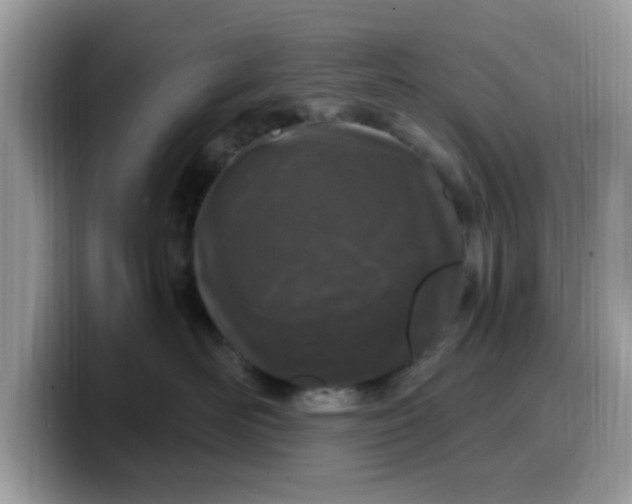 X0000099580526200805301602