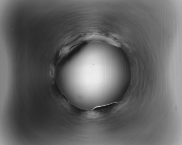 X0000099580528200805301602